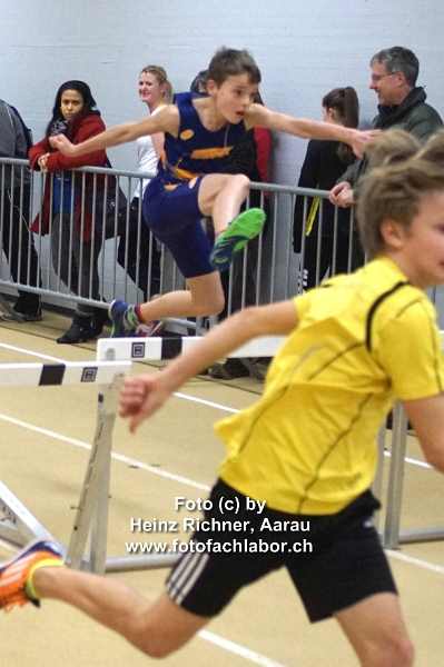 6557 halle_ob.jpg